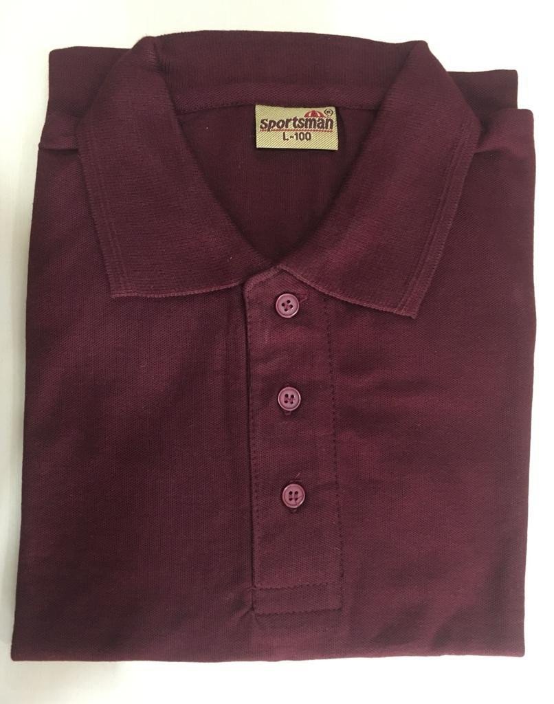 Maroon-Sportsman Polo neck T-Shirt supplier - 230 Gsm